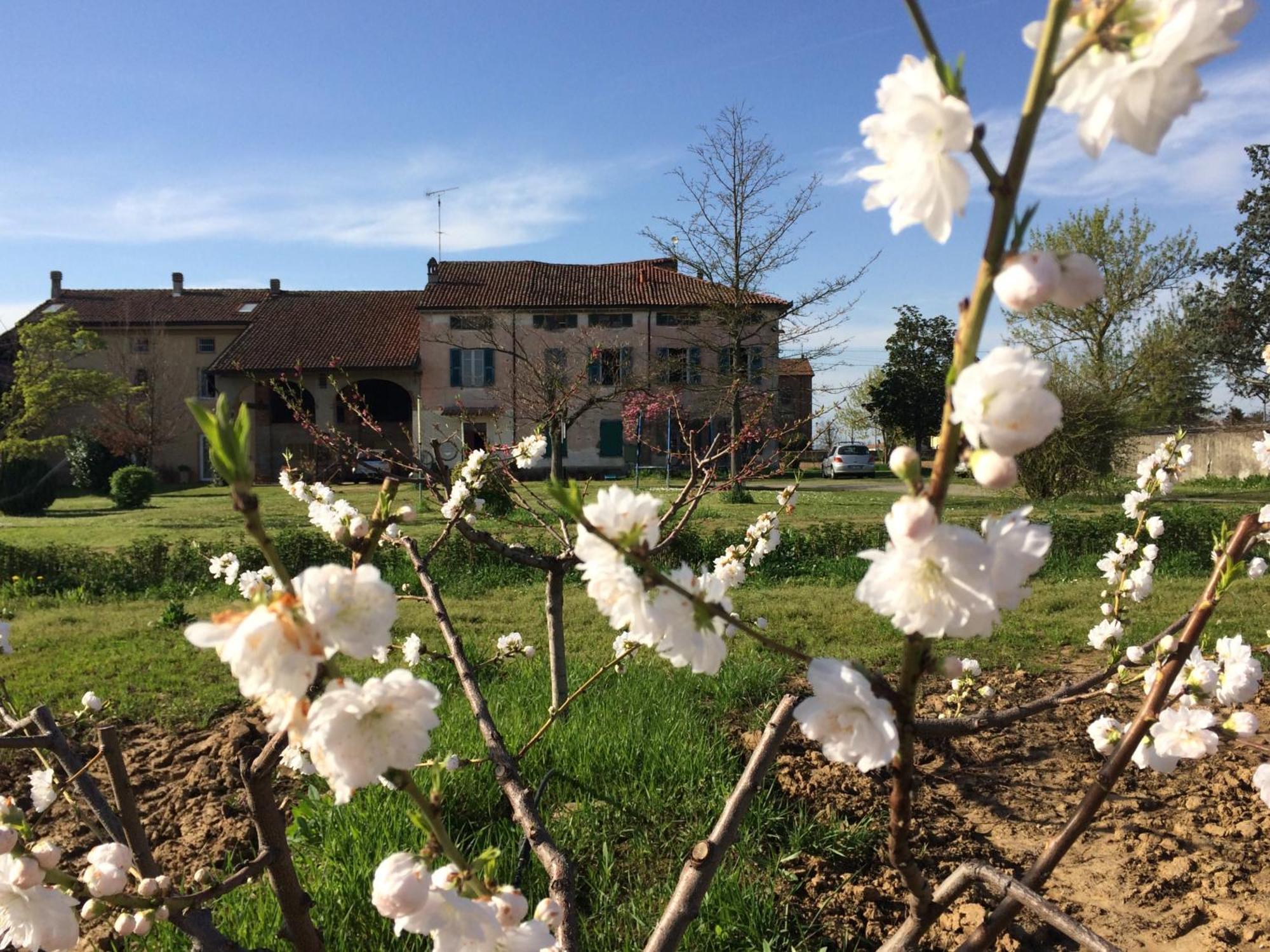 Fattoria Del Soul Bosco Marengo Ngoại thất bức ảnh